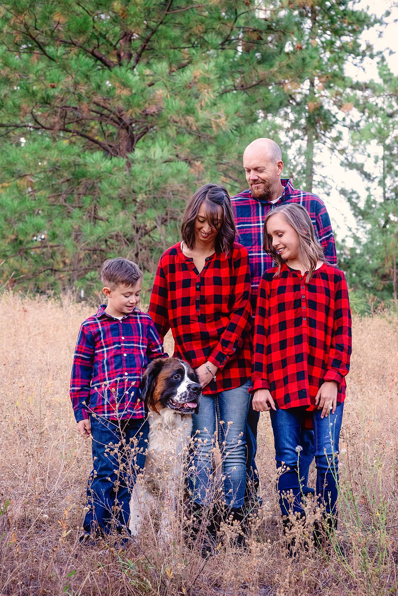 family of four with their dogs in a field near Spokane