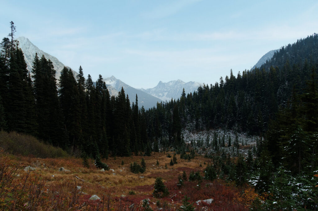 Autumn mountain valley in the North Cascades with golden meadow, evergreen forest, and snow‑capped peaks, photographed in a natural, storytelling style by a Washington family photographer.